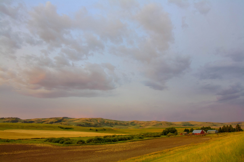 Sunrise along Norris Road near Madison River (2009)