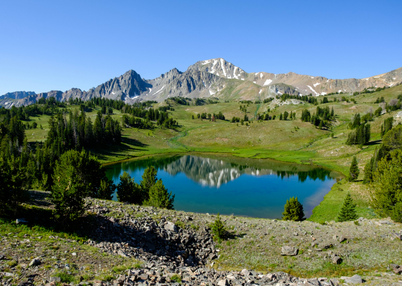 20190807_Hilgards-209