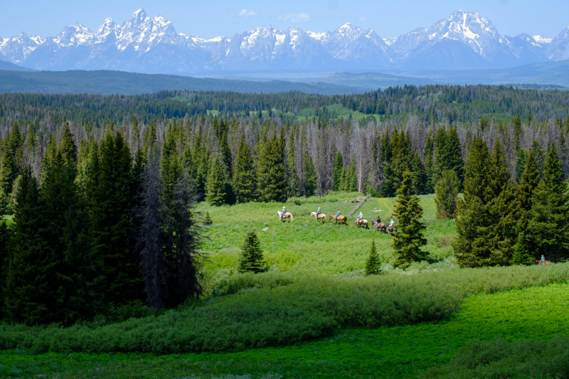 Horse pack trip near Togwotee Pass looking west toward Teton Range (2020)