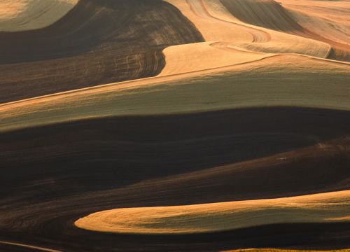 Abstract Color