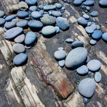 Rocks on bedrock, Beach 1 north of Queets, Washington.