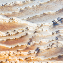 Traverine terraces near Mammoth, Yellowstone Park.