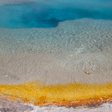 Hot Sprngs at West Thumb, Yellowstone Lake.