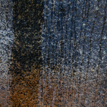 Rain dripping down garnite boulder, Yosemite.