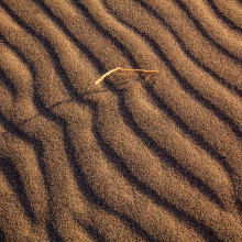 Sand dune detail, Death Valley.