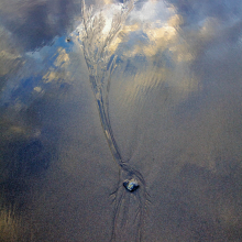 Ruby Beach, Washington.