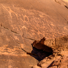 Camel petroglyphs in Wadi Rum.