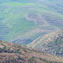 Remnant terraces on arid slopes near the Dead Sea, Jordan.