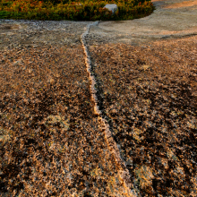 20240917_NovaScotiaWestShore-196