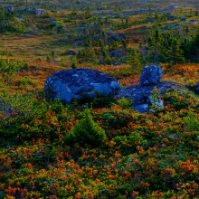 Nova Scotia in fall.