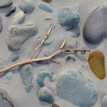 Beach detail, Nova Scotia.