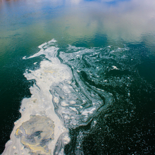 Scum in pool below Hwy 89 bridge, Yellowstone River near Livingston.