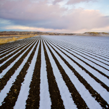 Sugar beet fields after snow squall - south of Hardin Montana.