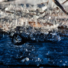 Hoar frost on fence rail, Bridger Canyon, Montana.