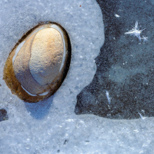 Ice patterns Gallatin River.
