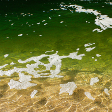 Waioli stream on Kauai north shore.