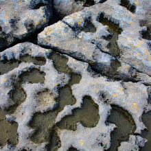 Weathered limestone on beach in the Burren, County Clare, Ireland.