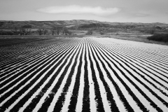 BigHornMar08-66-Edit