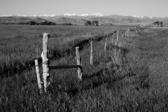 DrivetoWashingtonJun08-121