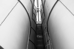 MG_1236