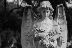 20120126_Savannah-178