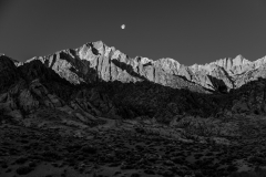20140319_LonePine-241