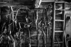 Tack shed interior Grant Kohrs Ranch (2008)