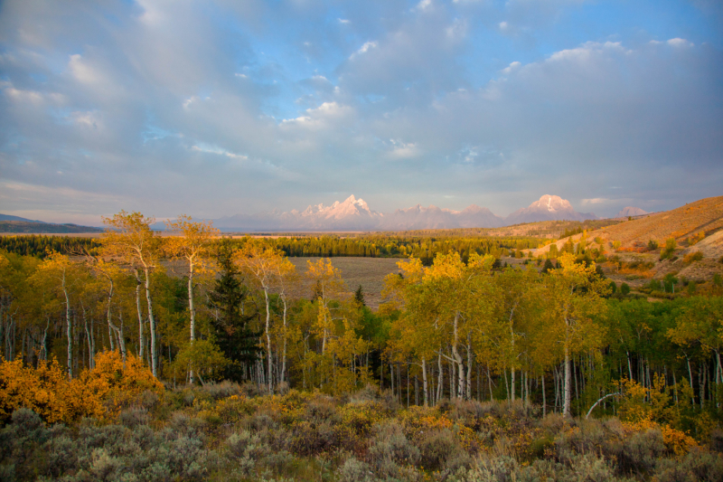 20100917_YellowstoneTetonNP-987