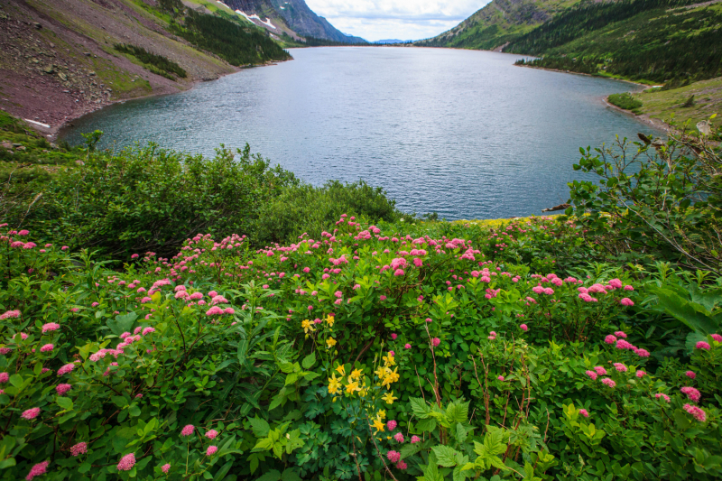 Below Gunsight Pass - Spirea fringing Lake Ellen Wilson near Sperry Chalet in Glacier Park (2014)